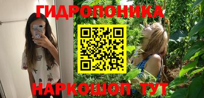 крисы Изобильный