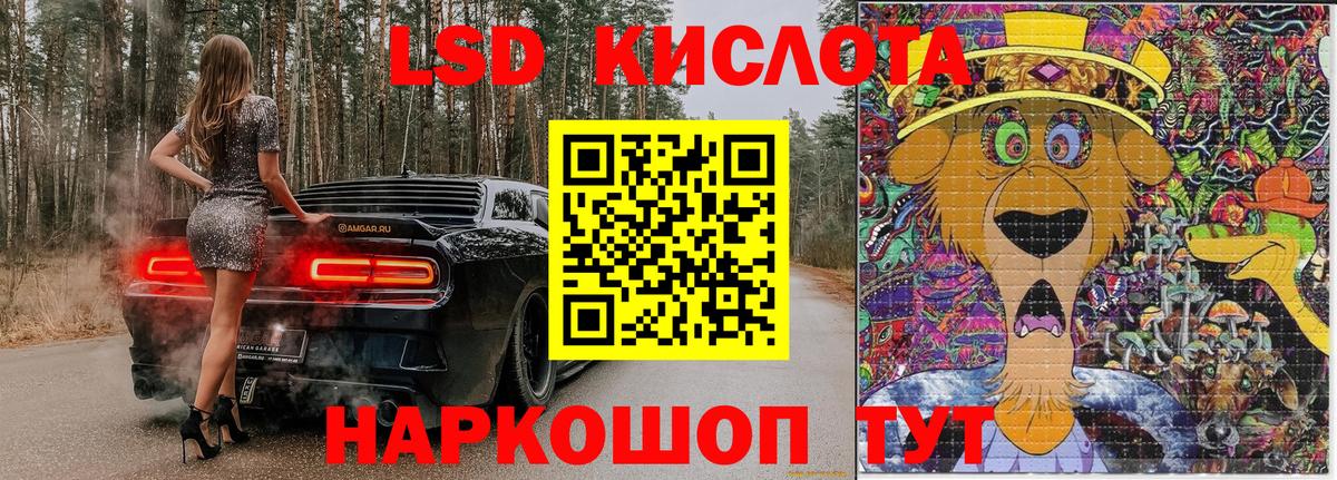 Курчалой  где купить наркоту  Вход с VPN  Марки NBOMe 1,5мг 