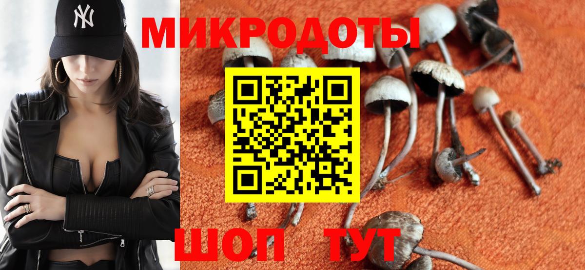Псилоцибиновые грибы ЛСД  Вход с VPN  где купить наркоту  Псилоцибиновые грибы мухоморы  Курчалой 